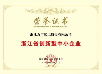 2024年浙江省创新型中小企业荣誉证书